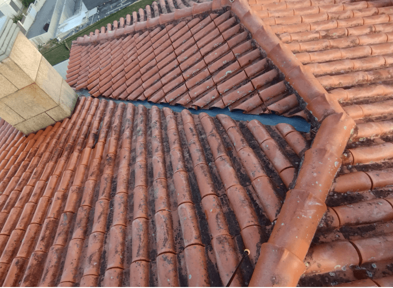 Telhado sujo com musgo